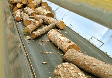 Conveyor Belts for Forestry